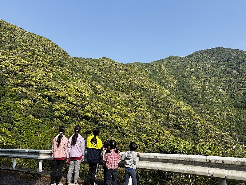 山笑う、天城岳への挑戦